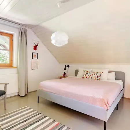 Alpine Boutique With Sauna Near Salzburg Tatil Evi Plainfeld