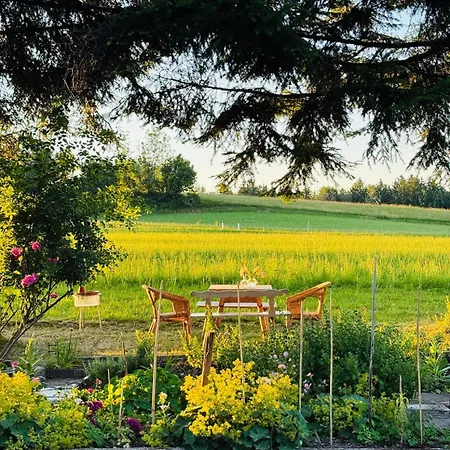 Alpine Boutique With Sauna Near Salzburg * Plainfeld