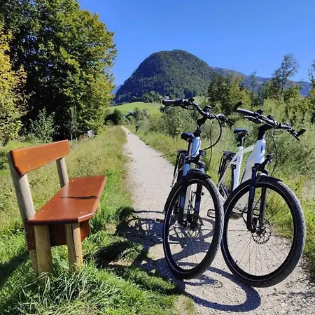 Alpine Boutique With Sauna Near Salzburg
