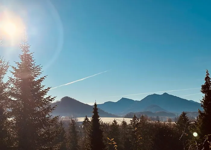 Alpine Boutique With Sauna Near Salzburg Feriehus *